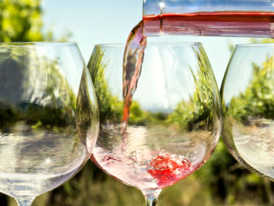 Kako terroir vpliva na okus vina? 